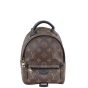 Louis Vuitton Palm Springs Mini Backpack Front