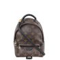 Louis Vuitton Palm Springs Mini Backpack Front