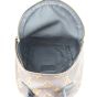 Louis Vuitton Palm Springs Mini Backpack Whole interior
