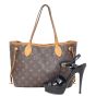 Louis Vuitton Neverfull PM Monogram Shoe
