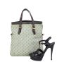 Louis Vuitton Francoise Mini Lin Shoe
