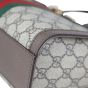 Gucci GG Supreme Ophidia Small Tote Corner