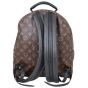 Louis Vuitton Palm Springs Backpack MM Monogram Back
