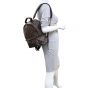 Louis Vuitton Palm Springs Backpack MM Monogram Mannequin
