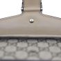 Gucci Dionysus GG Supreme Super Mini Chain Bag Corner
