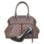 Louis Vuitton Trevi PM Damier Ebene Shoe