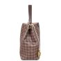 Louis Vuitton Caissa Hobo Damier Ebene Side