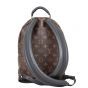 Louis Vuitton Palm Springs Backpack PM Monogram Back