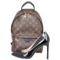 Louis Vuitton Palm Springs Backpack PM Monogram Shoe