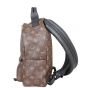 Louis Vuitton Palm Springs Backpack PM Monogram Side