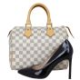 Louis Vuitton Speedy 25 Damier Azur Shoe