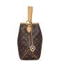 Louis Vuitton Delightful PM Monogram front side