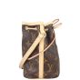 Louis Vuitton Nano Noe Monogram Side