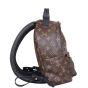 Louis Vuitton Palm Springs Backpack PM Monogram Side