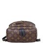 Louis Vuitton Palm Springs Backpack PM Monogram Base