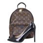 Louis Vuitton Palm Springs Backpack PM Monogram Shoe