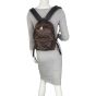 Louis Vuitton Palm Springs Backpack PM Monogram Mannequin