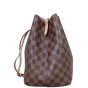 Louis Vuitton NeoNoe Damier Ebene Side