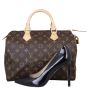 Louis Vuitton Speedy 30 Monogram Shoe