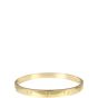Cartier Love Bracelet 18k Yellow Gold   