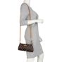Louis Vuitton Eva Pochette Monogram Mannequin