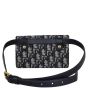 Dior Saddle Belt Pouch Oblique Back