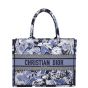 Dior Zodiac Fantastico Book Tote Medium Front