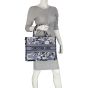 Dior Zodiac Fantastico Book Tote Medium Mannequin