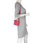Dior Lady Dior Micro Mannequin