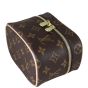Louis Vuitton Nice Nano Toiletry Pouch Monogram Corner Distance