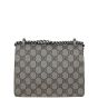 Gucci Dionysus GG Supreme Mini Shoulder Bag Back