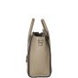 Celine Nano Luggage Tote Side
