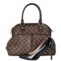 Louis Vuitton Trevi PM Damier Ebene Shoe