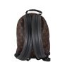 Louis Vuitton Palm Springs Backpack PM Monogram Back