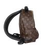 Louis Vuitton Palm Springs Backpack PM Monogram Side