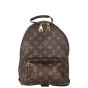 Louis Vuitton Palm Springs Backpack PM Monogram Front