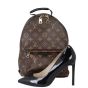 Louis Vuitton Palm Springs Backpack PM Monogram Shoe