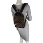 Louis Vuitton Palm Springs Backpack PM Monogram Mannequin