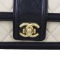 Chanel Elegant CC Flap Bag Medium