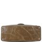 Chanel VIP Iridescent Flap Bag 