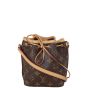 Louis Vuitton Nano Noe Monogram