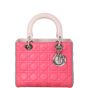 Dior Lady Dior Medium Tricolour
