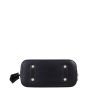 Louis Vuitton Alma BB Epi with Embroidered Strap