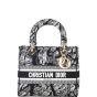 Dior Lady D-Lite Medium Plan de Paris