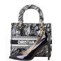 Dior Lady D-Lite Medium Plan de Paris