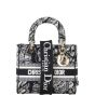 Dior Lady D-Lite Medium Plan de Paris