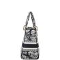 Dior Lady D-Lite Medium Plan de Paris