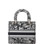 Dior Lady D-Lite Medium Plan de Paris
