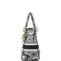 Dior Lady D-Lite Medium Plan de Paris