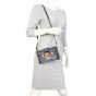 Louis Vuitton Petite Malle Monogram